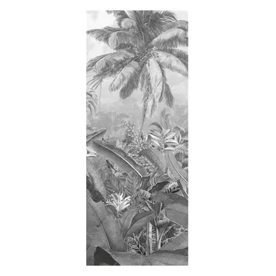 Vlies Fototapete - Amazonia Black and White Panel - Größe 100 x 250 cm