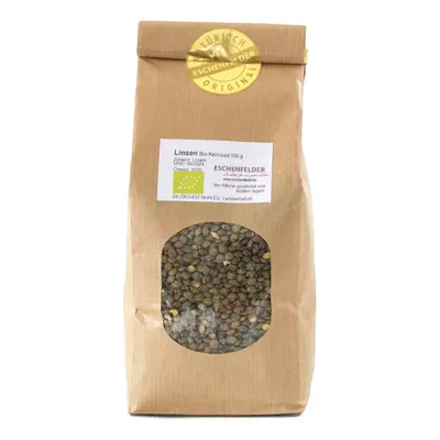 LED-Leselampe ohne blauen Ordner mit Clip-On Farbe: Schwarz