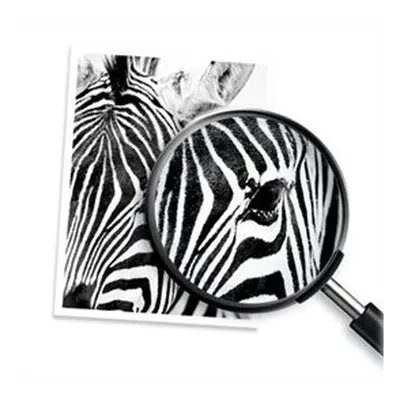 HP 937e Magenta Tintenpatrone EvoMore