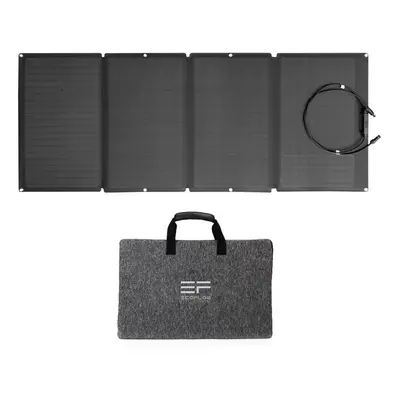 EcoFlow Solar Panel 160W faltbares Solarmodul mit Tragetasche