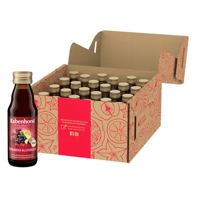 Rabenhorst Gesunder Blutdruck BIO Mini 24x125 ml Saft