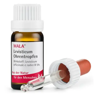 Levisticum Ohrentropfen 10 ml