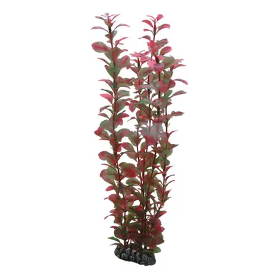 Hobby Ludwigia 1 St