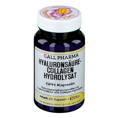 Hyaluronsäure-Collagen Hydrolysat GPH Kapseln 60 St