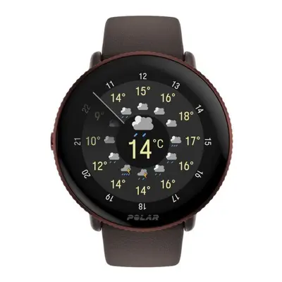 Pulsuhr / Tracker Polar Ignite 3 Fitnessuhr braun 900106239 1 St