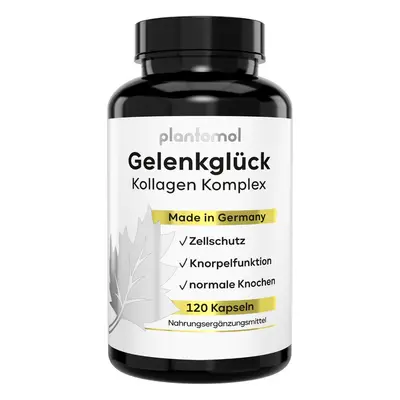 Plantomol® Kollagen Kapseln mit 1000mg Collagen und Hyaluron - Typ 1-3 für Gelenke Gelenkglück 1