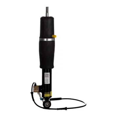 Cadillac Eldorado Mit EDC E-body Hinten Federbein 1996 - 2002 mit EDC (Electronic Damper Control