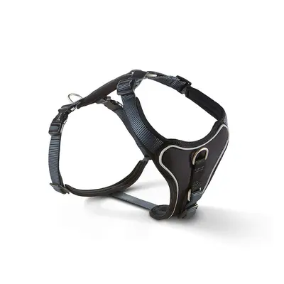 Wolters Professional Geschirr