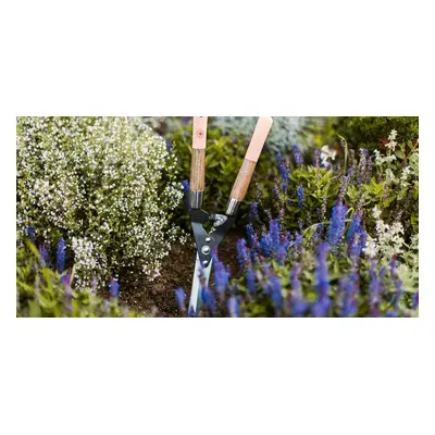 Heckenschere - moosgrün