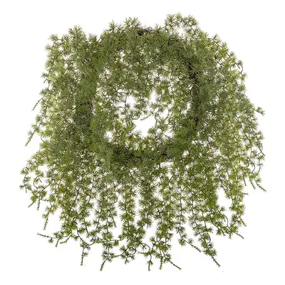 Mr_Plant, Kranz 50 cm